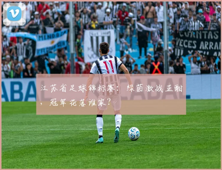 江苏省足球锦标赛：绿茵激战正酣，冠军花落谁家？